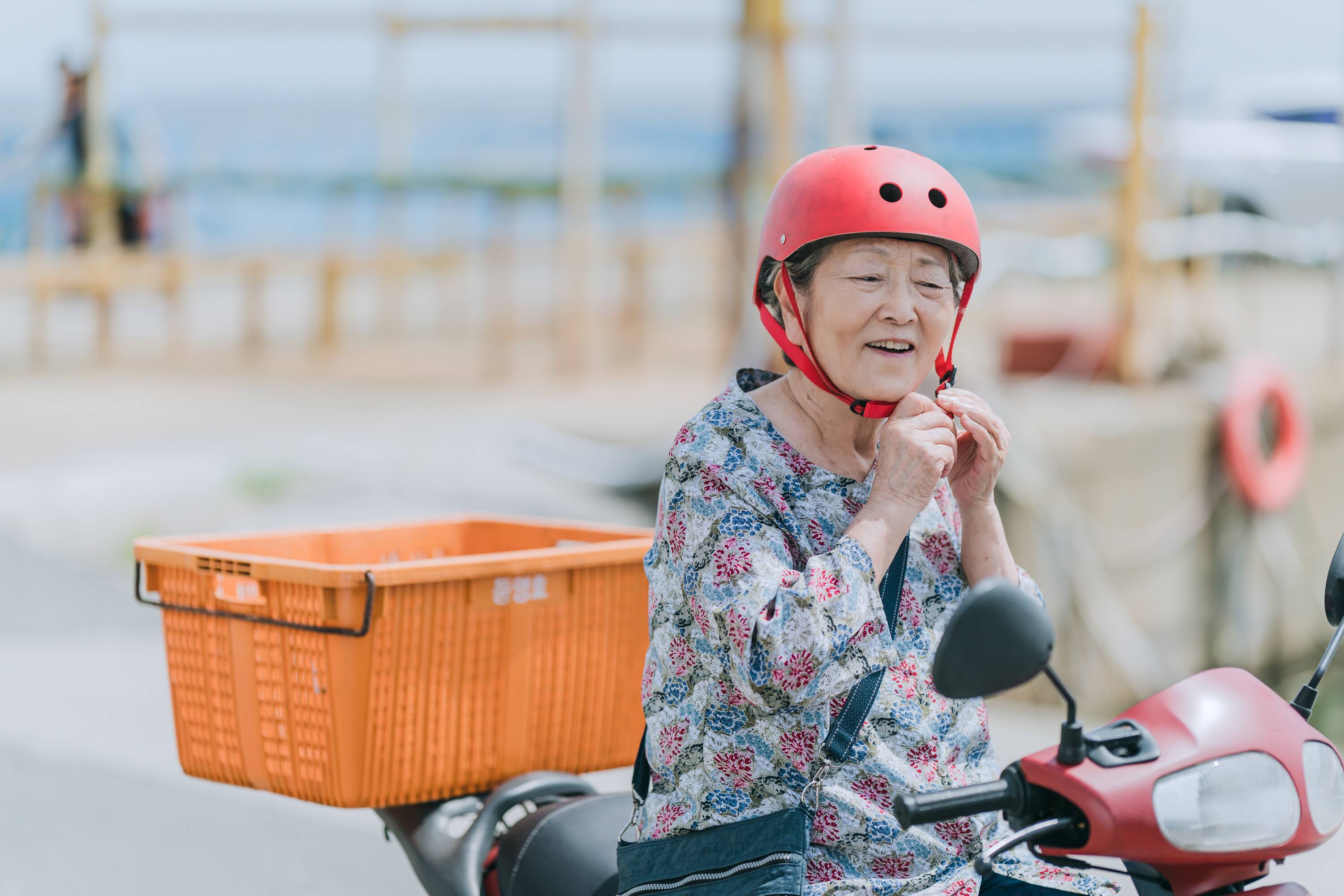 Veteran Korean Actress Kim Young-Ok’s Granddaughters and Grandsons in K